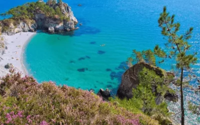 Les plus belles plages de Crozon : lesquelles choisir pour votre prochaine escapade ?