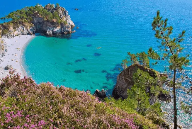 plage de l'ile vierge